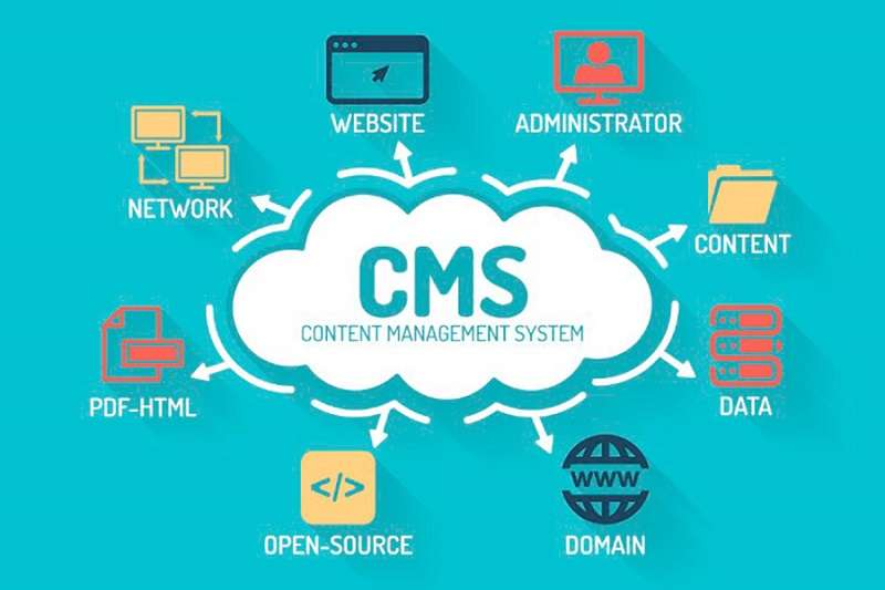 Struktur dan Komponen CMS