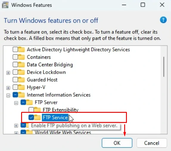 1 Cara Membuat FTP Server di Windows 11 untuk Jaringan Lokal